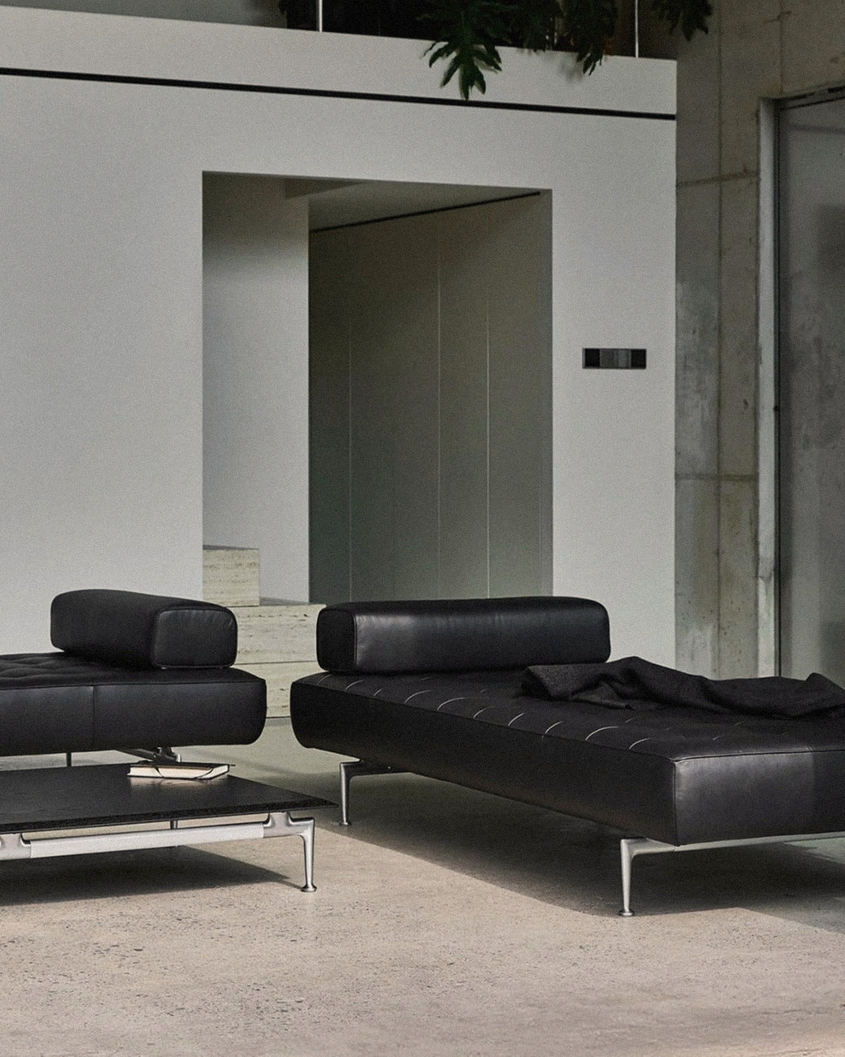 Otium Daybed Sofa - Leather 2