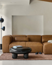 Plume Sofa - Leather 2